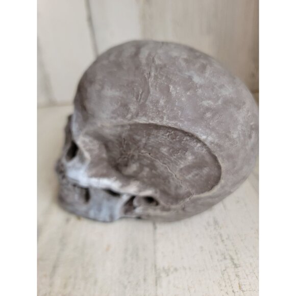 Unique Halloween sitting scary skull skeleton head prop home decor vintage - Picture 5 of 7